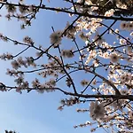 别墅 萨伦托别墅