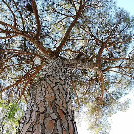 In Salento Villa Lecce