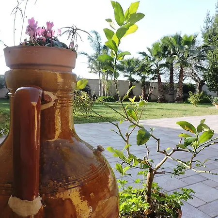 Villa In Salento Lecce