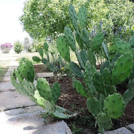 Villa In Salento Lecce