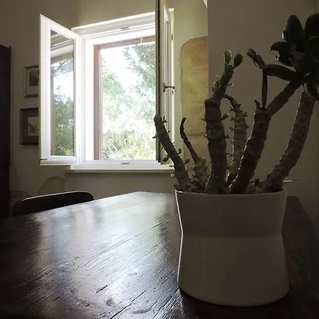 Villa In Salento Lecce