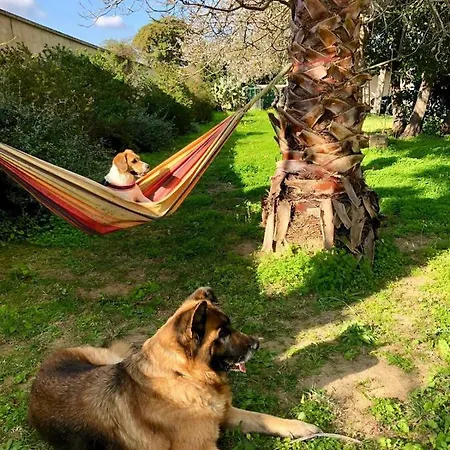 Villa In Salento Lecce