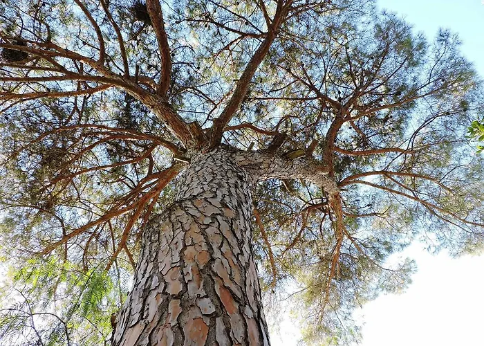 In Salento Villa Lecce