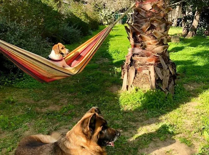 Villa In Salento Lecce